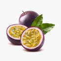 Proin Lectus Ipsum