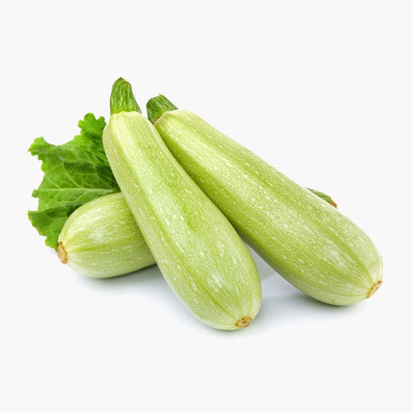 Mauris Vel Tellus